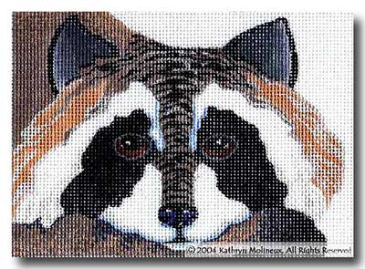Raccoon
