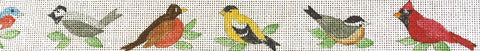 Song Birds Belt