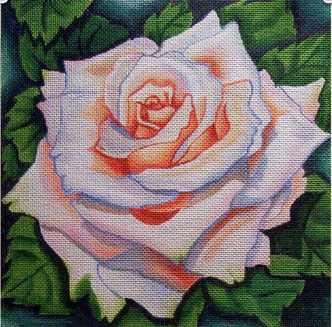 White Rose
