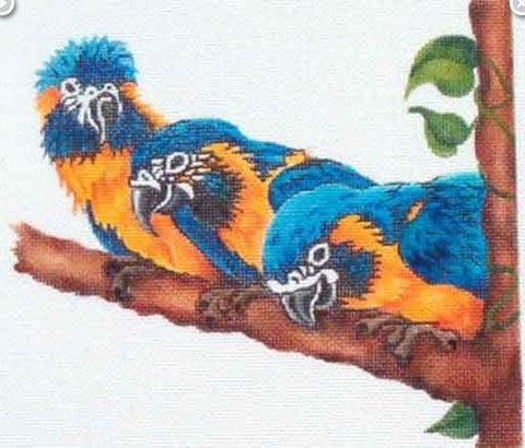 Family of Parrots