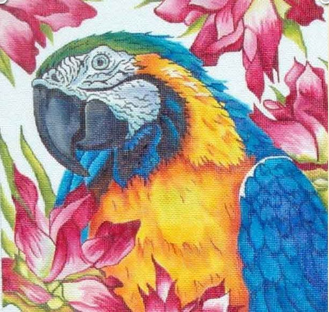 Parrot w/Floral Background