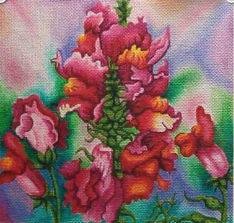 Snapdragon 
