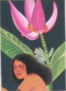 Pola