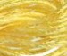 38 Canary - Shimmer Lite