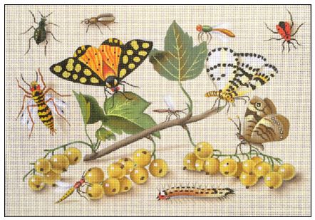 Currents and Butterflies
