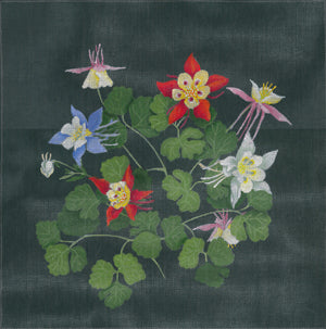 Giant Columbine