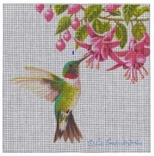 Hummingbird in Fuchsia