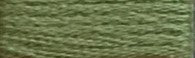 401 Forest Green Range - Needlepoint Inc Silk Hank