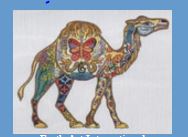 Camel