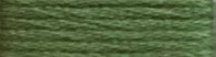 402 Forest Green Range - Needlepoint Inc Silk Hank