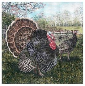 Turkeys