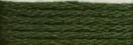 404 Forest Green Range - Needlepoint Inc Silk Hank