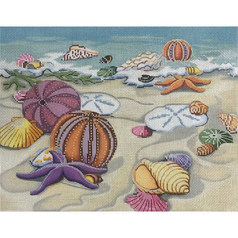 Seashells On Shore