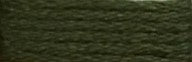 405 Forest Green Range - Needlepoint Inc Silk Hank