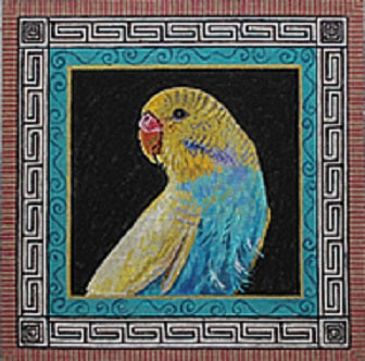 Parakeet