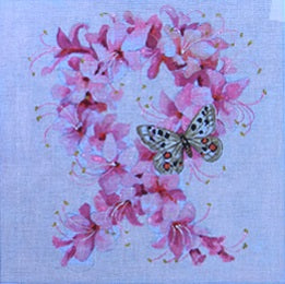 Azalea - Pink Ribbon