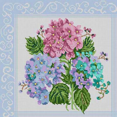 Hydrangea