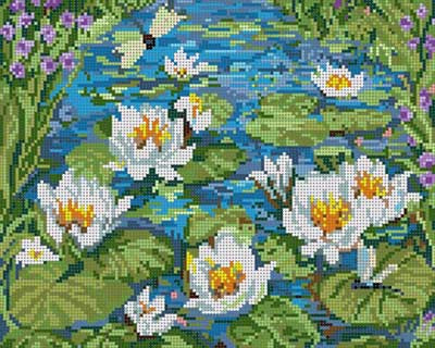 Water Lilies