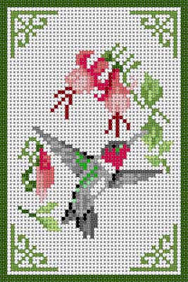 Red Throat Hummingbird