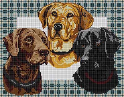 Labs on Plaid