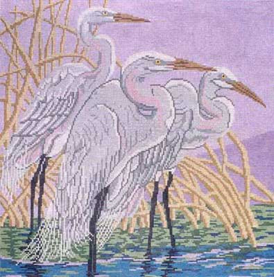 Great Egrets