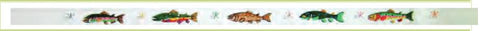 Trout Belt - Unpainted Background