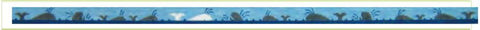 Whale Belt