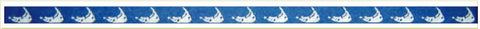 Nantucket Islands Belt - Blue and White