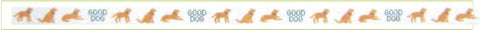 Yellow Lab Belt