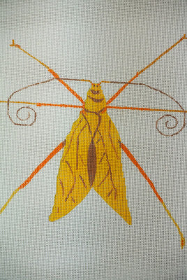 Leaf-Mimic Katydid - 18ct