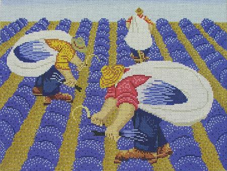 Lavender Harvest