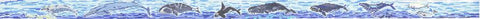 Whale Belt