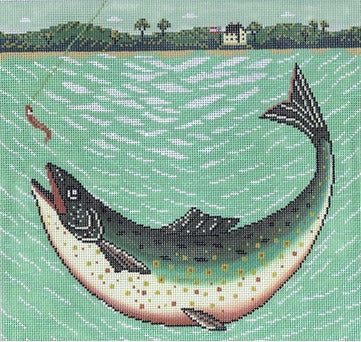 Lake Trout