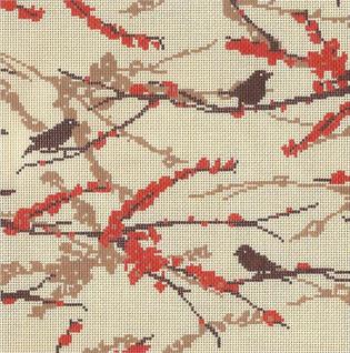 Sparrows - Bark