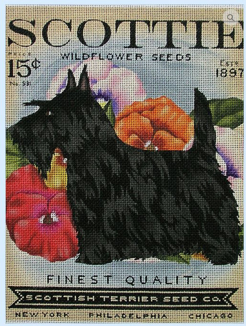 Scottie Widflower Seeds