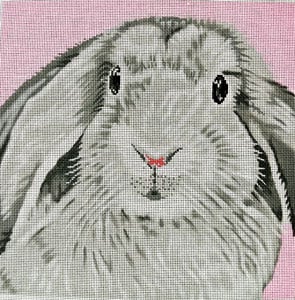 Floppy Ear Bunny On Pink