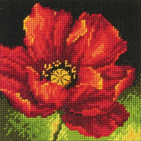 Red Poppy