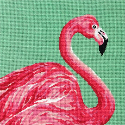 Pink Flamingo