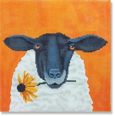 Sheep With Daisy