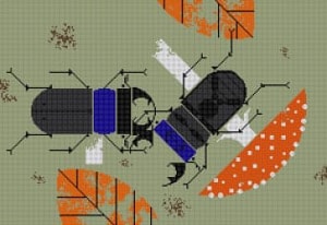 Beetle Battle