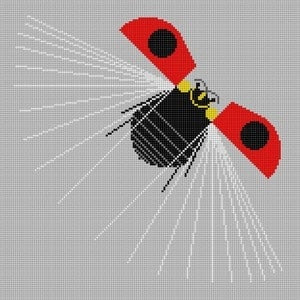 Fly Away Home