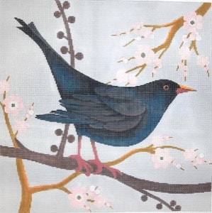 One Black Bird