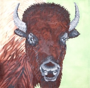 Buffalo