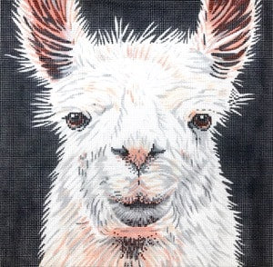 Llama