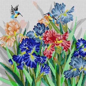 Iris & Hummingbirds