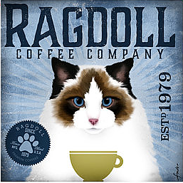 Rag Doll