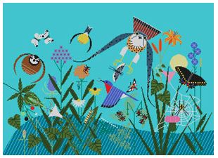 Summer Birds