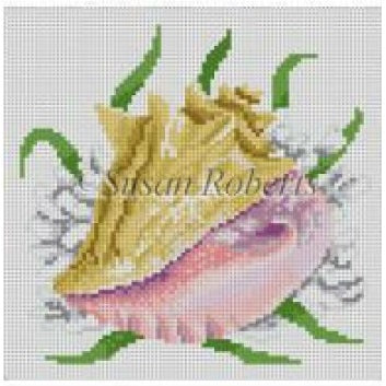 Queen Conch