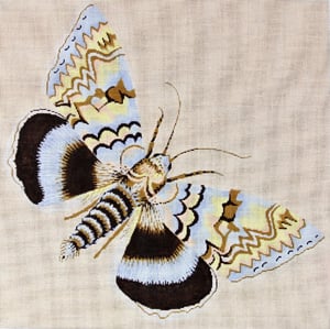 Moth Light Blue Brown and Yellow