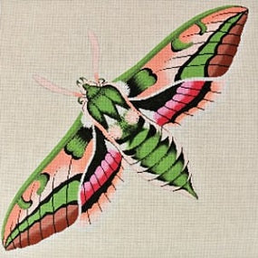 Moth Green, Pink, and Peach